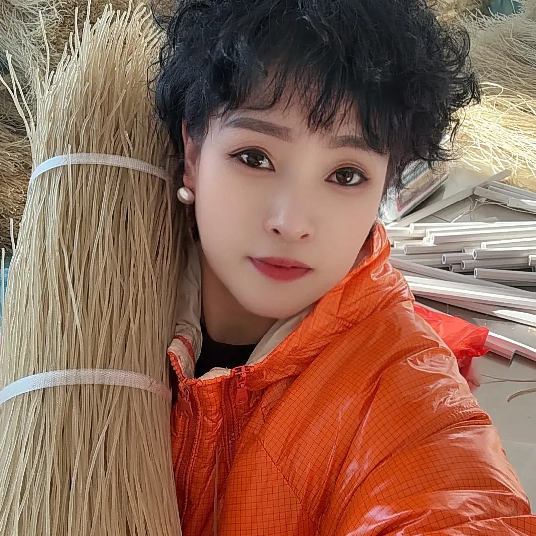 安波俭汤刘家姑娘纯红薯粉条 抗火 劲道 有宽粉细粉中粗粉 包邮