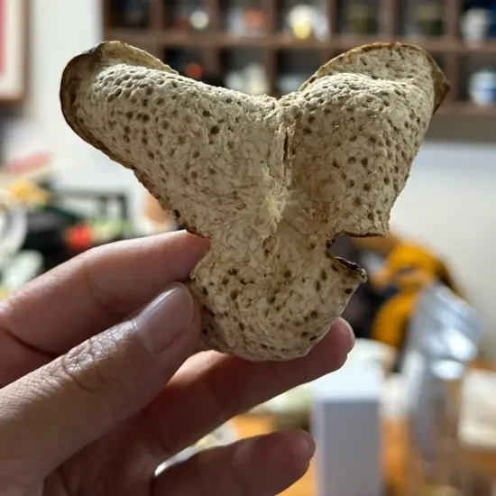 东甲陈皮 圈枝50克 入门