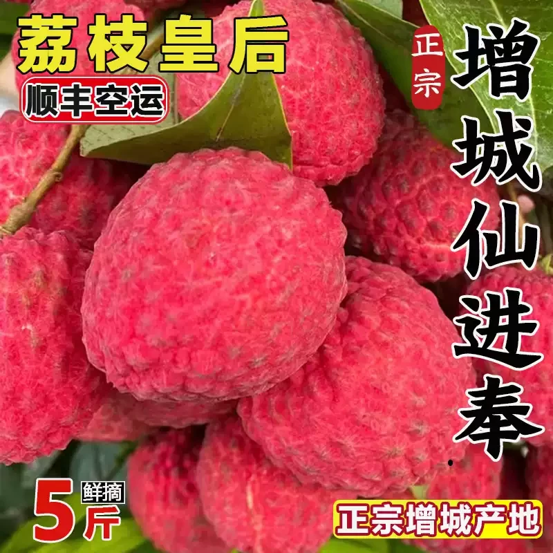 【省外专拍】增城本地仙进奉顺丰包邮冷链糯米糍桂味荔枝精选果园