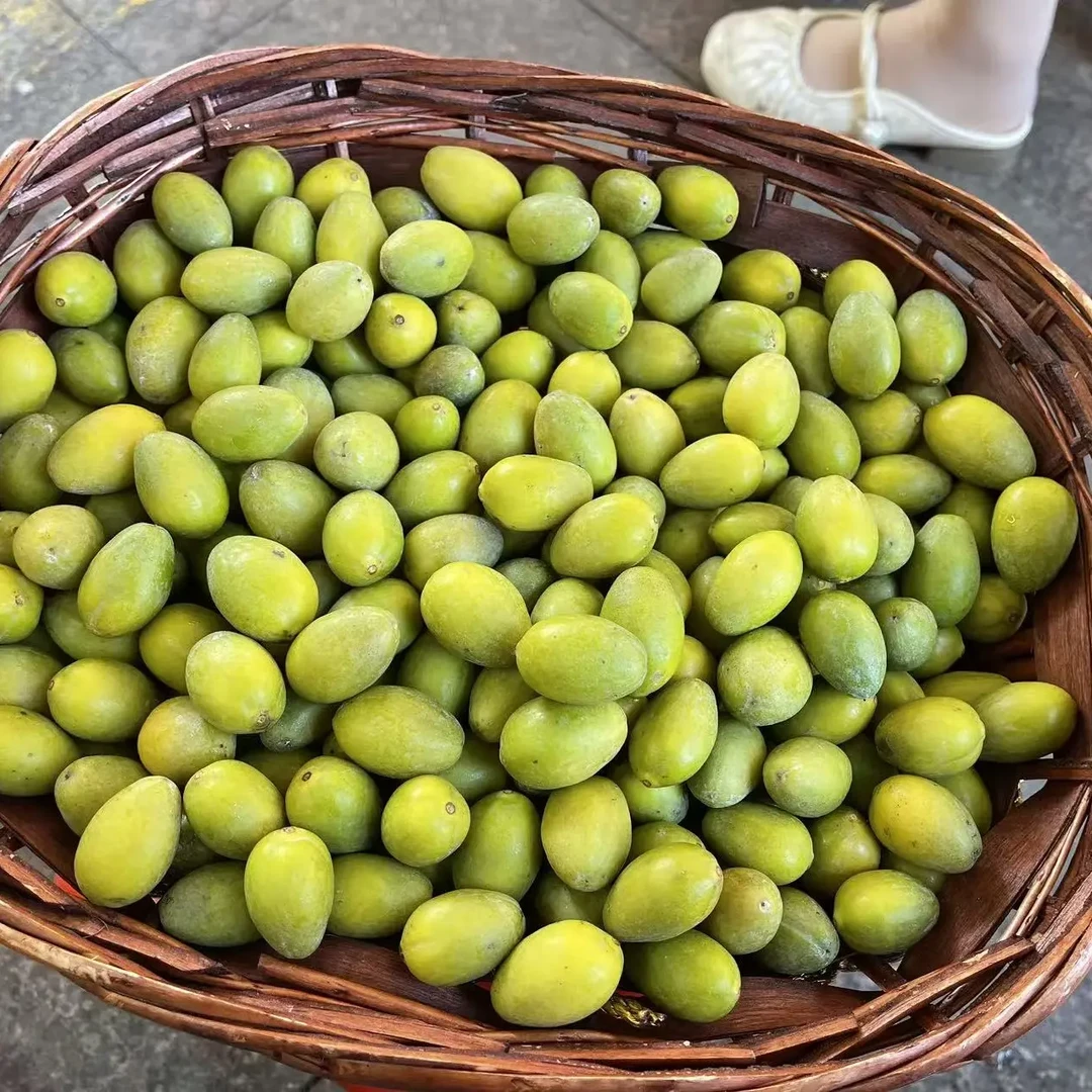 88,8元一斤潮汕正宗三捻橄榄老枞树橄榄（粒粒大果）