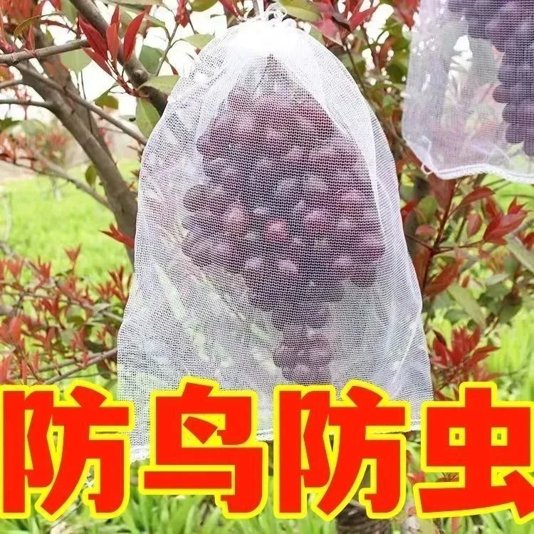 自带抽绳葡萄水果套袋防乌防雨防虫网袋瓜果无花果枇杷透气专用袋