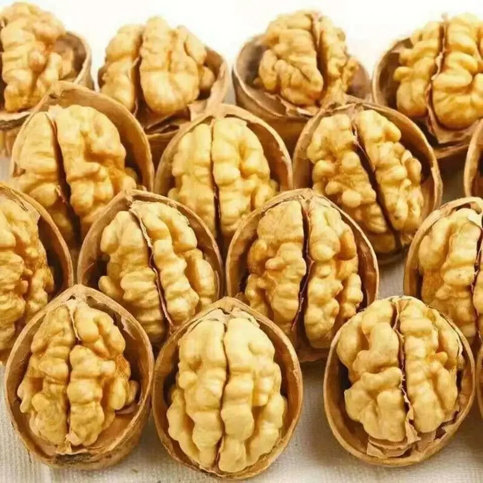 【不好包退】新疆阿克苏纸皮核桃手捏即开薄皮营养食用饱满支持试吃
