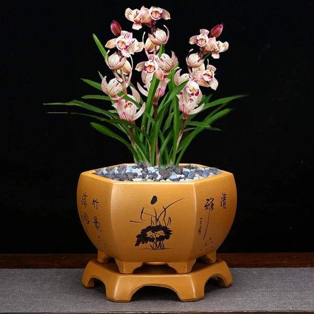 优品精品六方兰花盆专用盆紫砂花盆手工粉浆刻绘带底座君子兰桌面