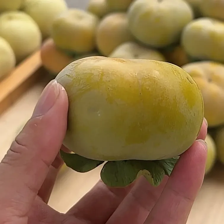 广西桂林牛心脆柿青皮脆甜石灰水泡去涩当季新鲜水果