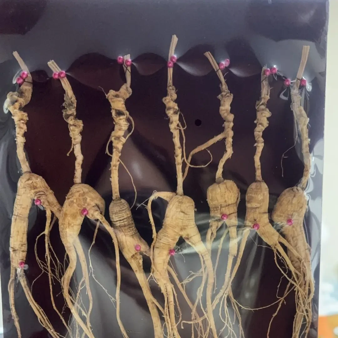 长白山林下参老货可泡酒煲汤打粉适合送礼