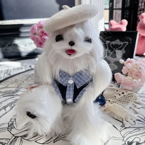 Ads艾狄斯宠物服装培训招生