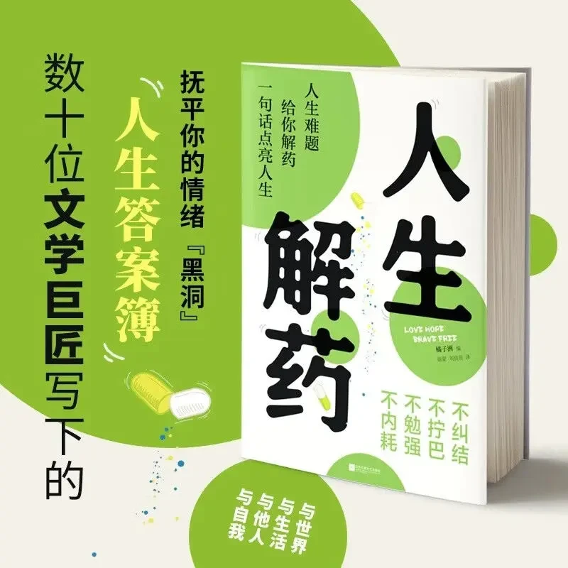 人生解药 一句话点亮人生 抚平情绪黑洞人生答案薄句子书籍