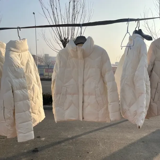 新款短款立领白鸭绒女士羽绒服时尚百搭保暖显瘦