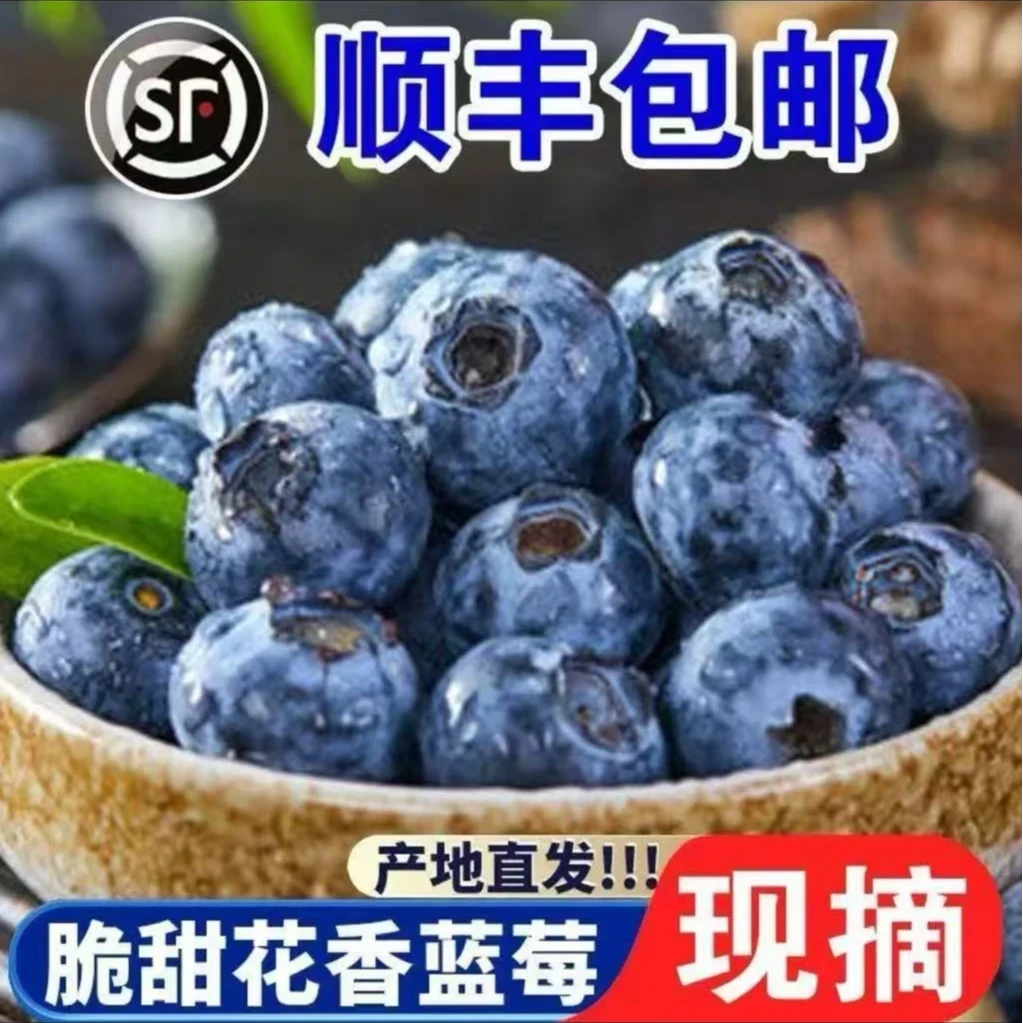 净重2斤 15mm-20mm果径 新鲜采摘高山蓝莓花青素水果【顺丰】