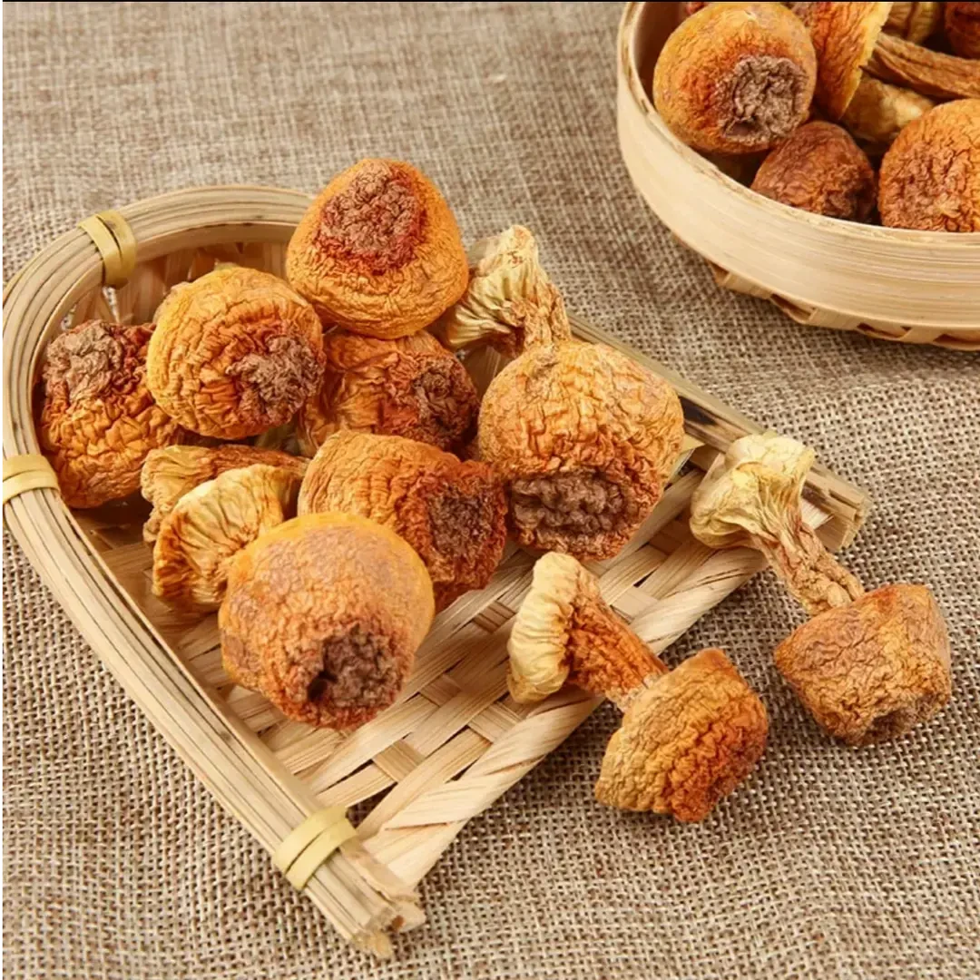 【瑶瑶推荐】长白山 姬松茸