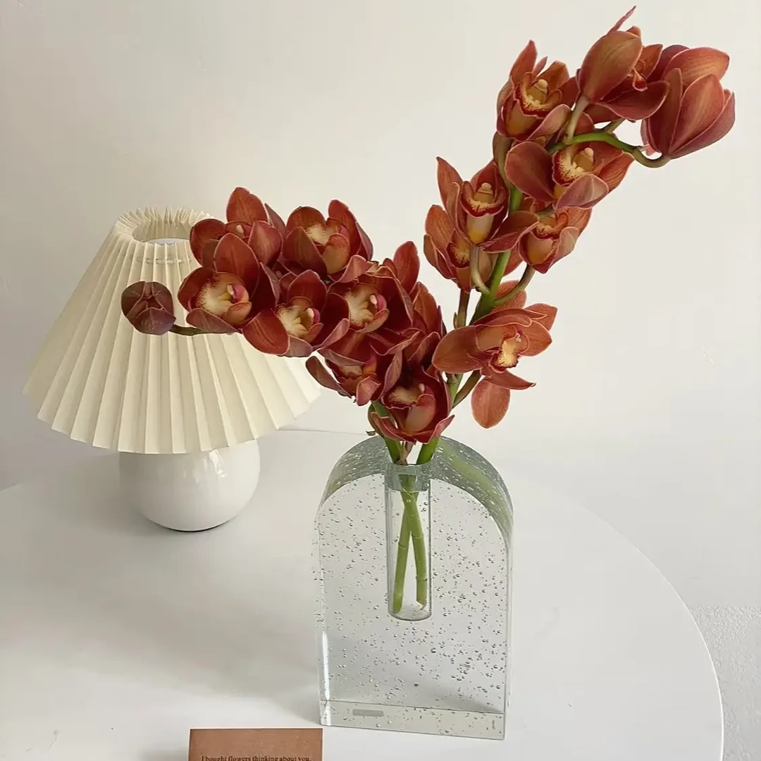 焦糖咖啡，大花蕙兰云南直发高品质耐养鲜花家居装饰花期长