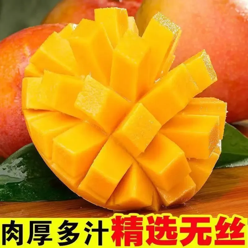广西热农澳芒苹果芒好吃芒果香甜多汁当季水果新鲜现摘坏果包赔