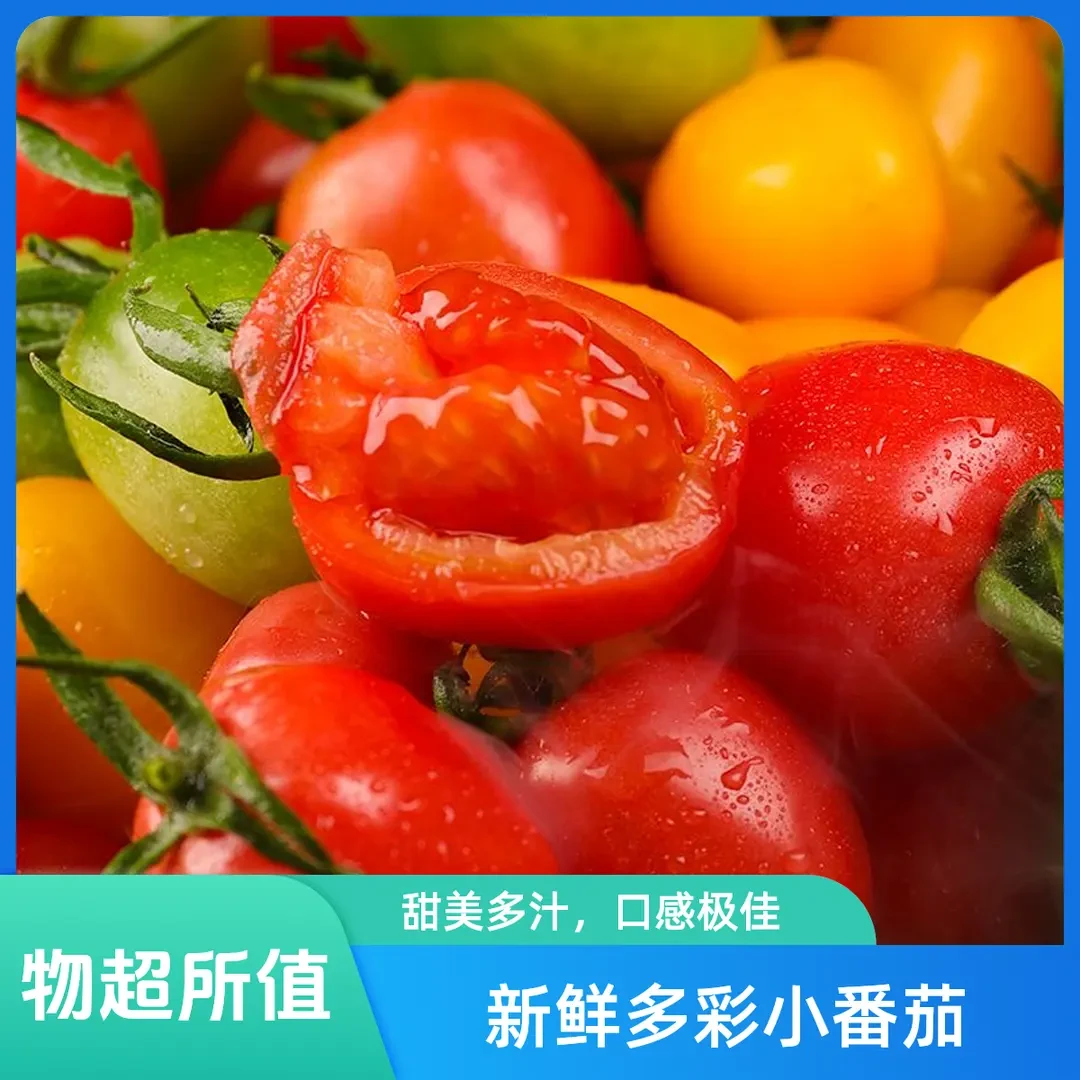 打破常规彩色番茄组合三色混装圣女果新鲜采摘自然成熟人工选果