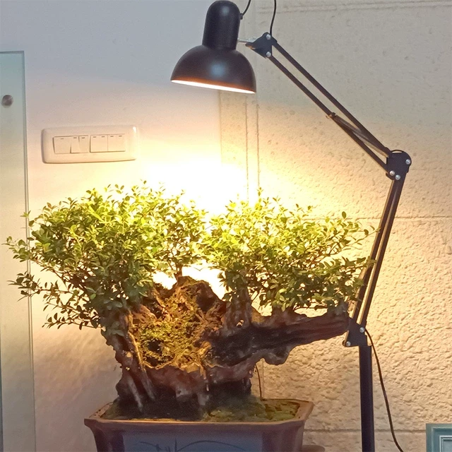 光谱植物补光灯仿太阳光室内绿植生长灯万向折叠E27灯架落地灯