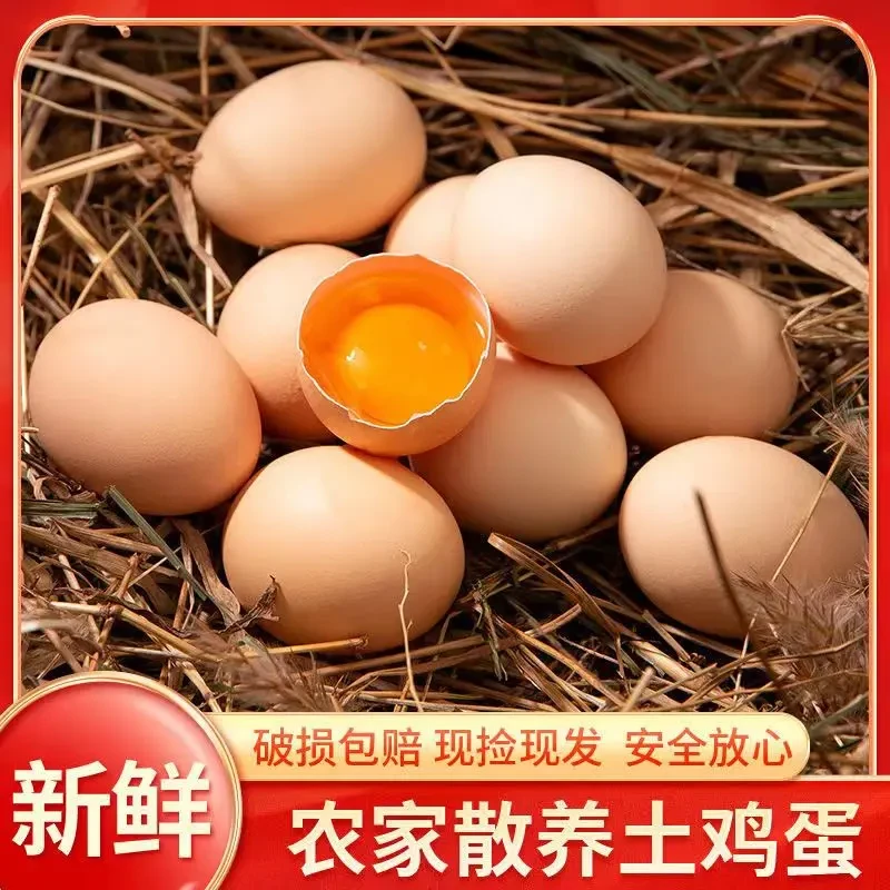 【50枚土鸡蛋】克重50正宗农家谷物饲养鸡蛋无添加营养更放心