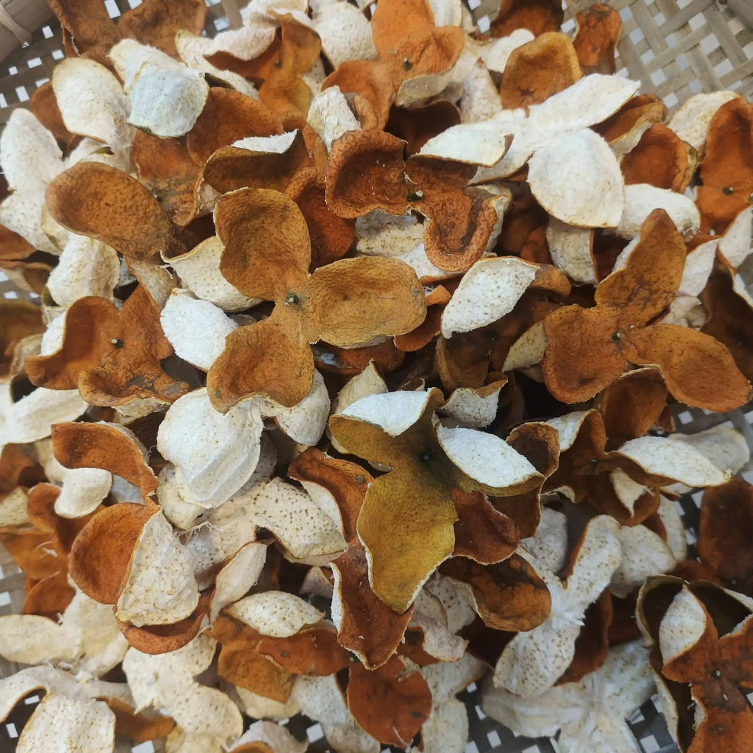 2025年冬后老树大红(中皮仔)，自然生晒 冬后老树皮有独特风味