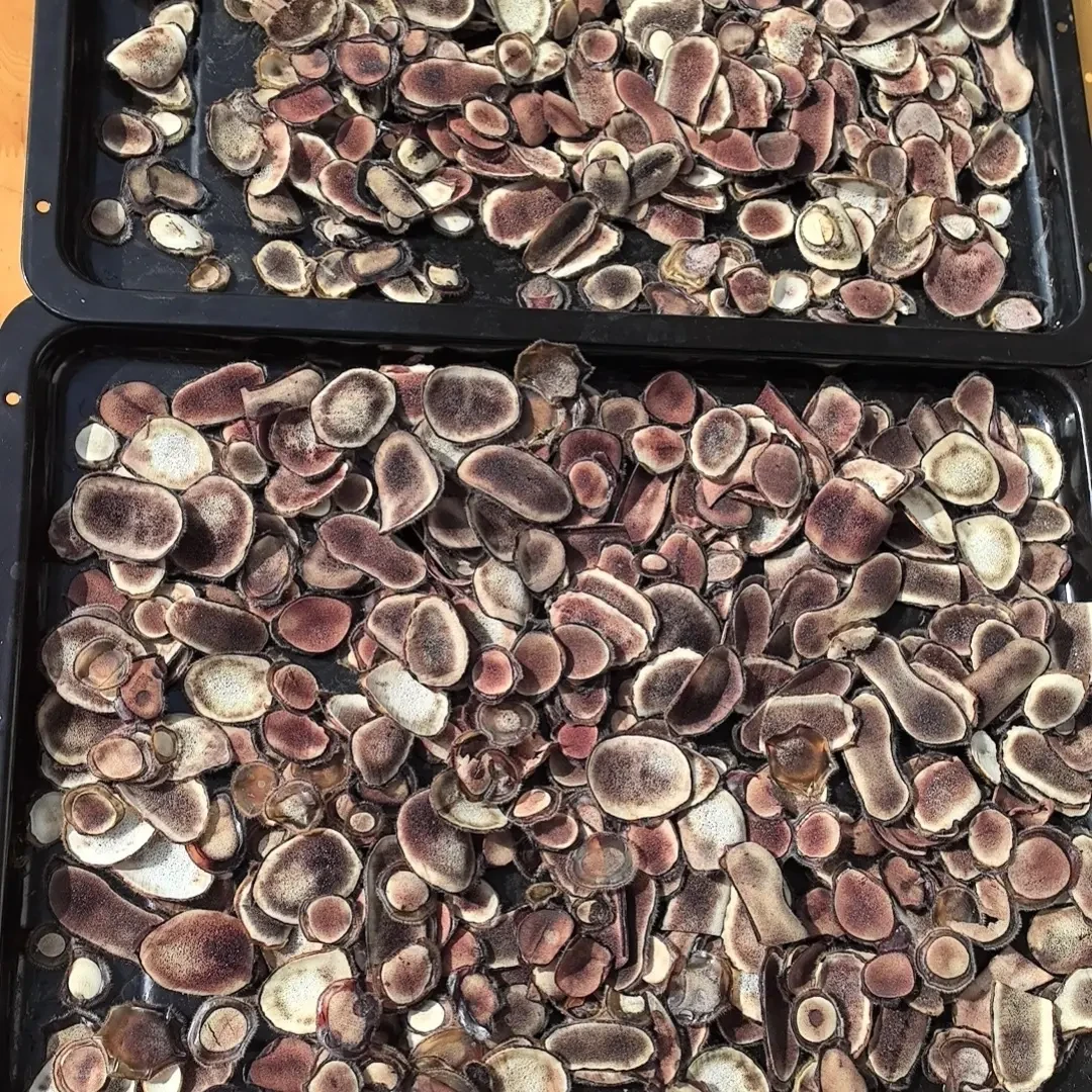 鹿茸片煲汤泡酒泡水