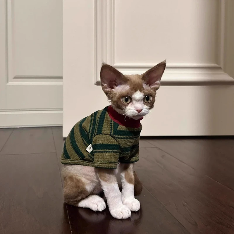 猫咪衣服春秋装防掉毛条纹两脚衣可爱无毛猫布偶猫猫秋冬天卫衣yj