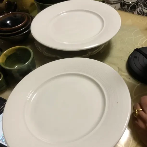 陶瓷盘子两支完好