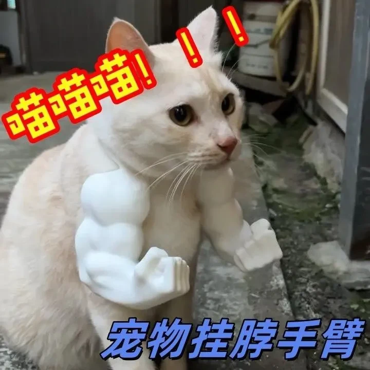新款猫咪挂脖肌肉手臂3d打印玩具恶搞宠物道具猫咪搞笑装饰R724