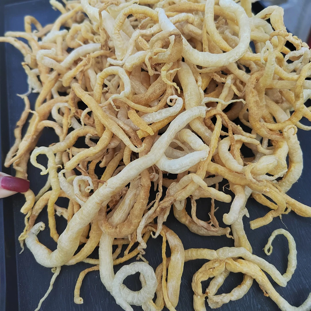 小鳗鱼胶盐爆胶小小盐爆鳝胶