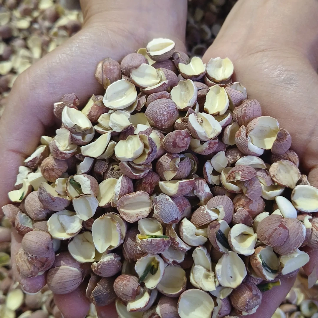 农家特产机器打碎红莲子干货新鲜红皮颗粒饱满营养天然