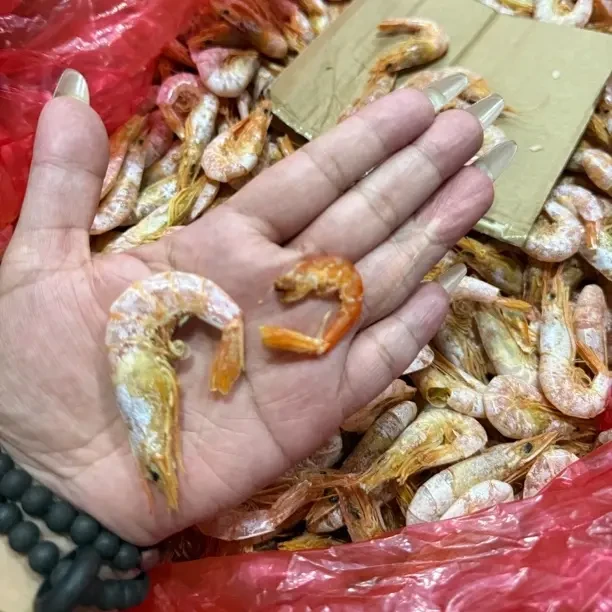 南日岛尖头虾原滋原味
