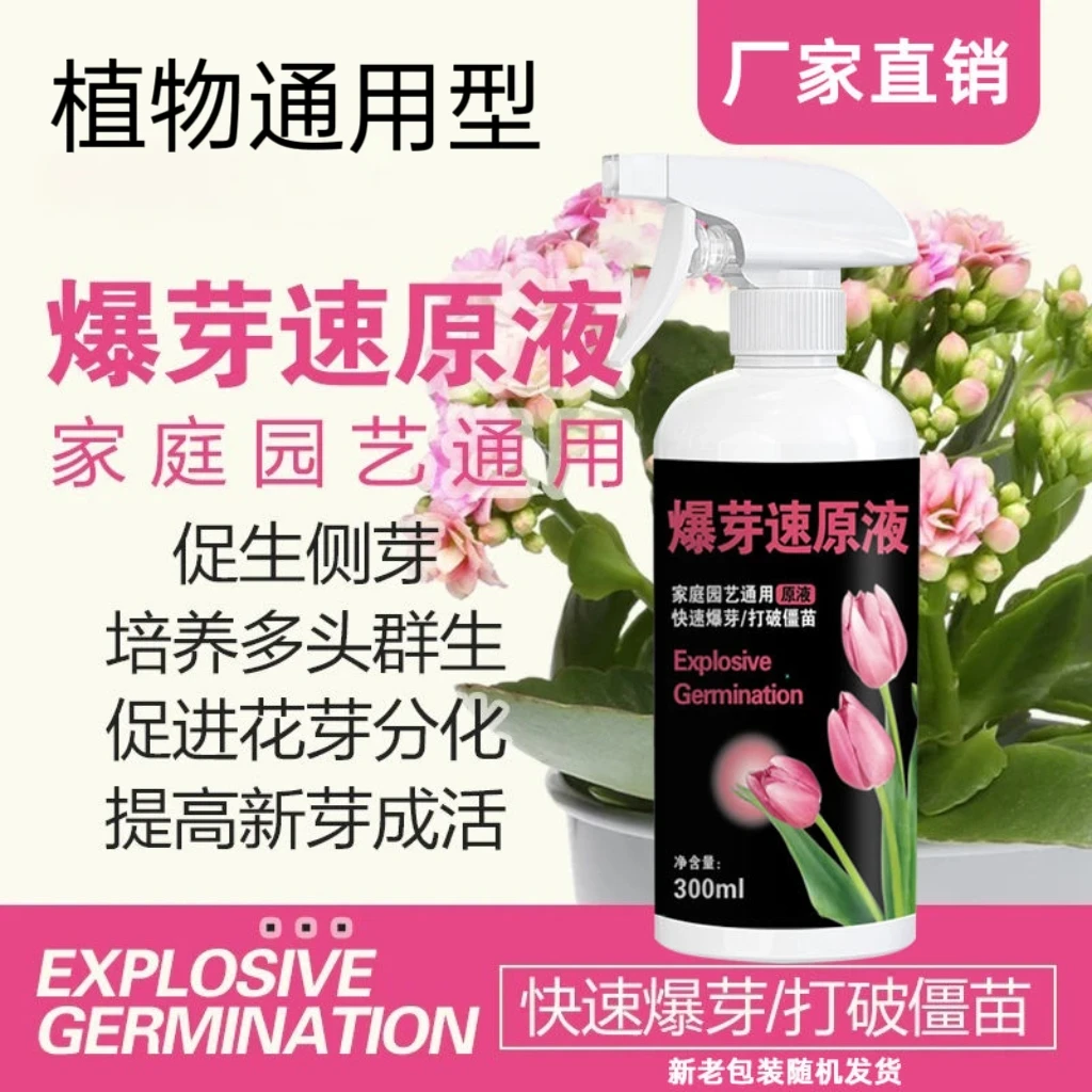 爆芽速原液植物多芽促芽催芽分化叶插花植物多肉绿植通用型复合肥