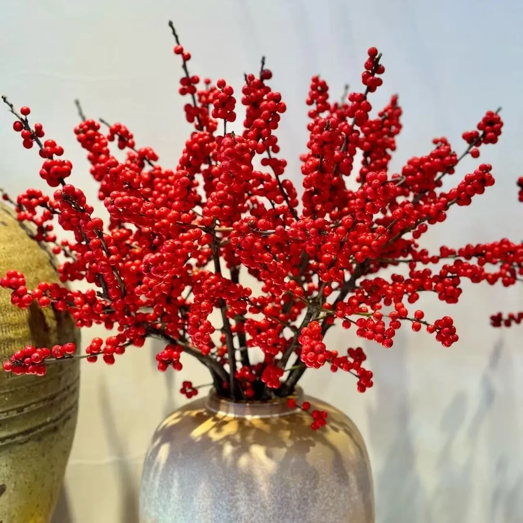 进口北美冬青鲜花，高端喜庆红果室内庭园盆栽发财果水培基地直发