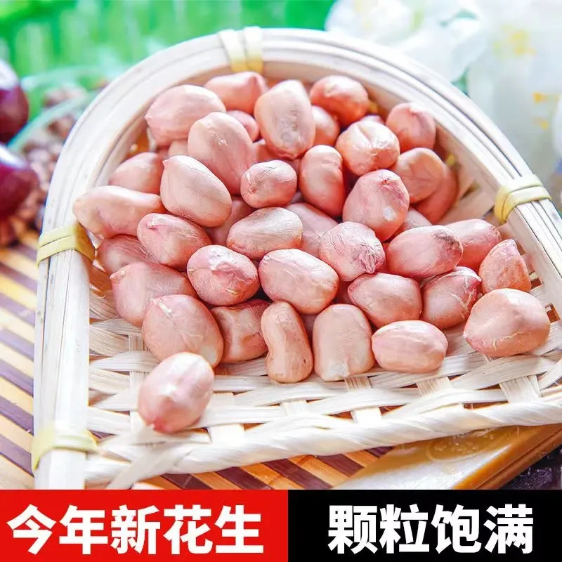 2024新花生米现剥新货特价精选无壳白沙花生米粉皮新鲜生花生去壳