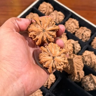 文玩核桃 龙鼎三棱正奔尺寸可选