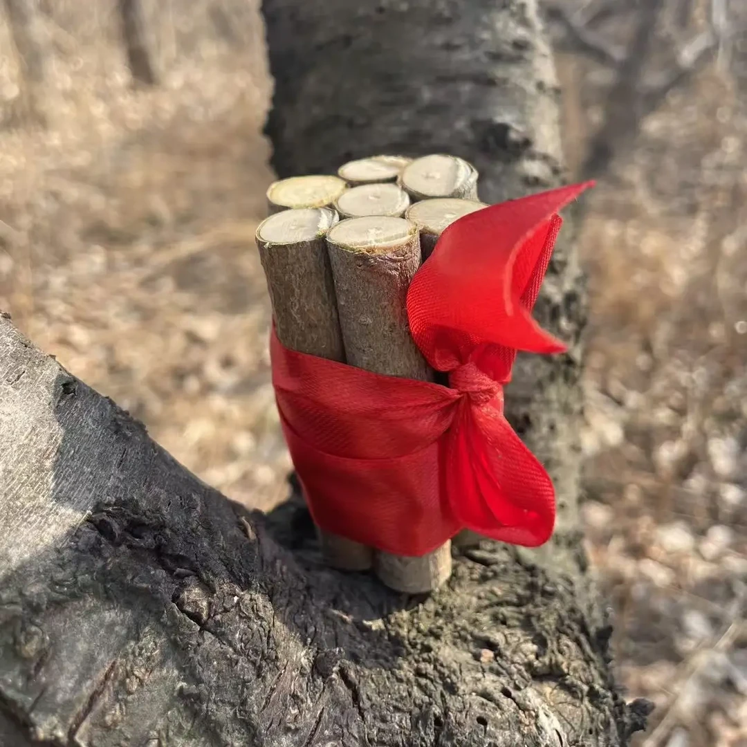 手工编织五色绳绑桃木挂件宝宝居家车包摆件防惊纳福