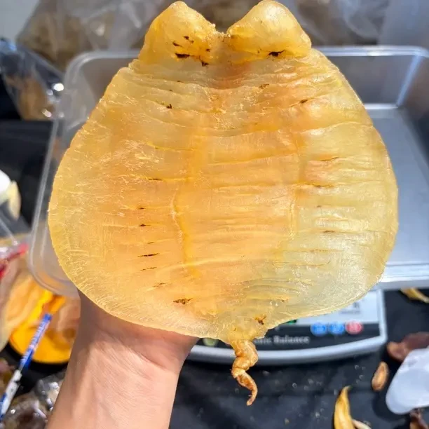 鱼胶花胶批发干货链接