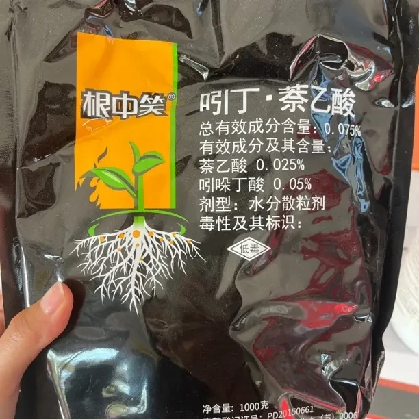 根中笑 生根养根护根
