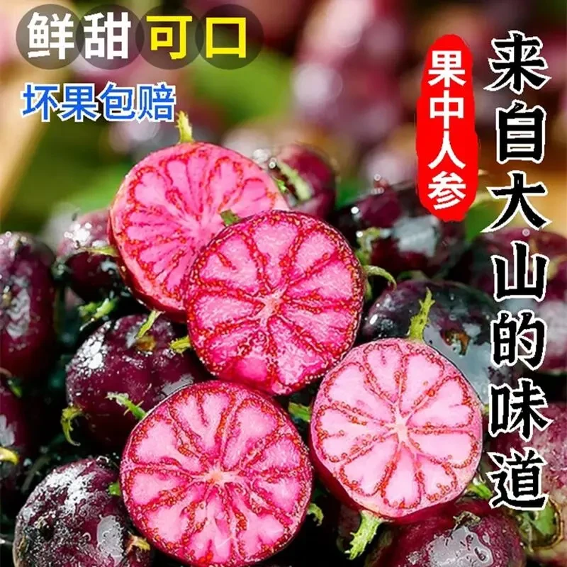 【新年福利】云南红果参算盘果蜘蛛果爆款稀有水果孕妇食用新鲜