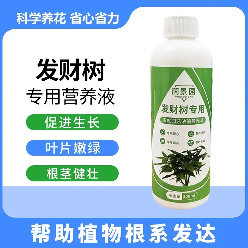 【发财树专用】家庭园艺发财树专用营养液植物水培生长土壤烂根