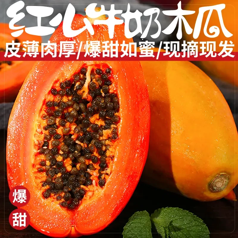 【树上熟 冰糖心木瓜】红心木瓜细腻软糯香甜新鲜皮薄果园清香