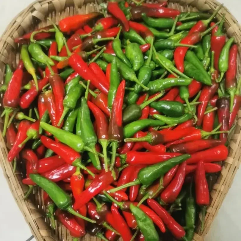 贵州土辣椒农家老品种青红新鲜辣椒可用于餐饮调味优质蔬菜