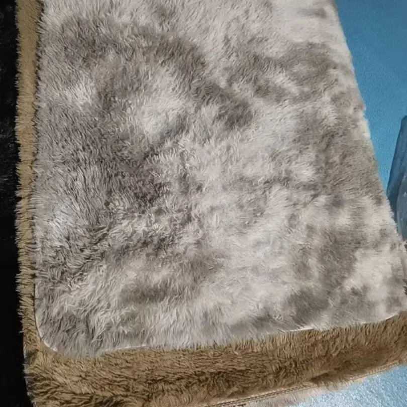 丝毛地毯清库存客厅卧室毯