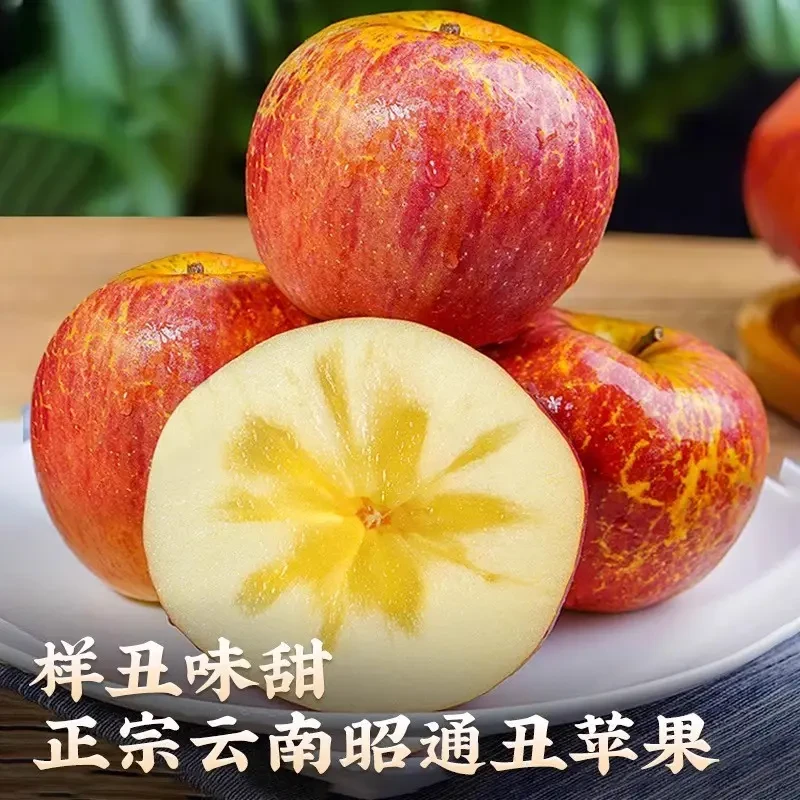 正宗云南昭通丑苹果冰糖心脆甜新鲜水果孕妇当季红富士苹果5斤装
