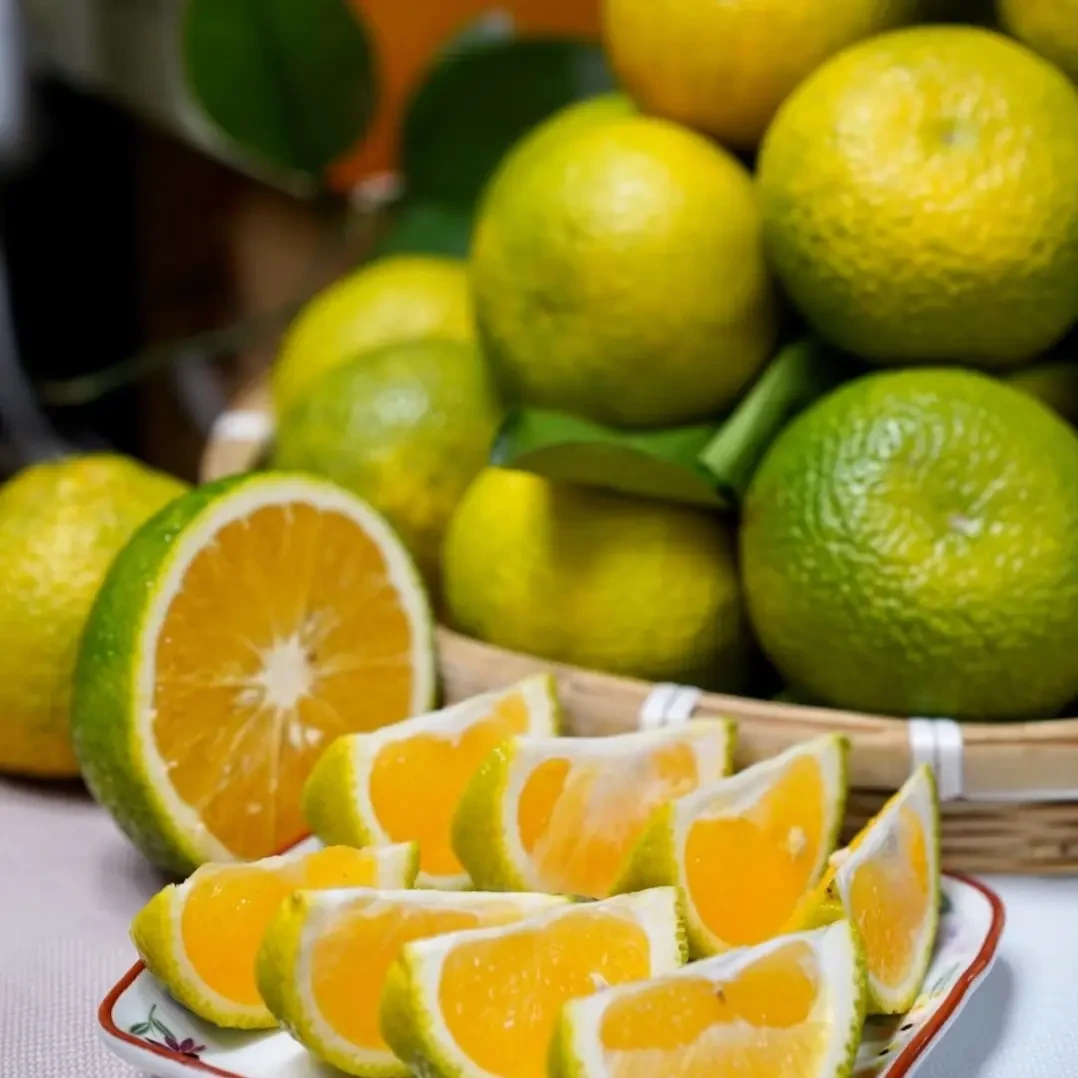 南平市建阳崇雒桔柚当季新鲜水果清甜多汁超大果12个礼盒装