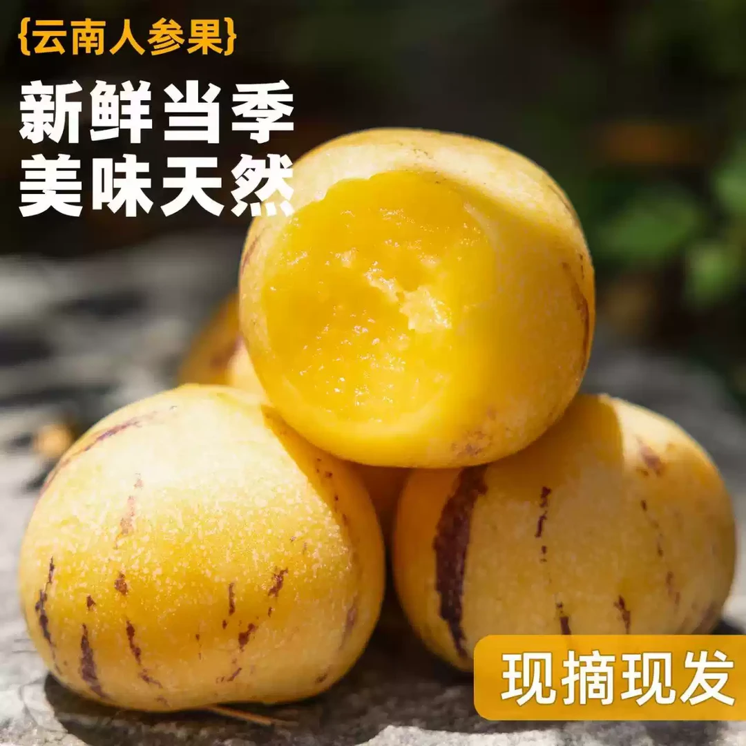 云南人参果黄肉果圆果树上熟清甜皮薄多汁新鲜应季水果