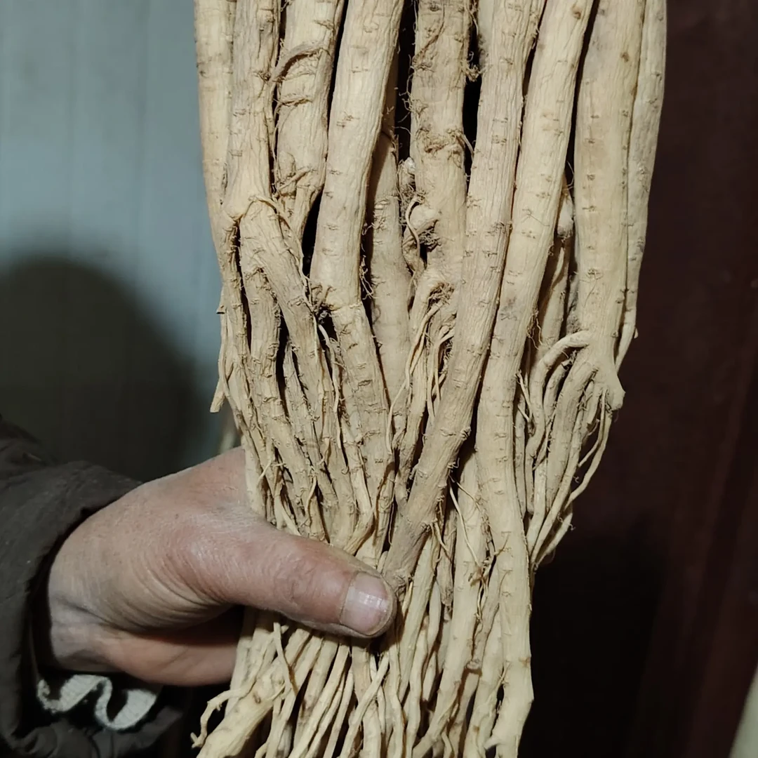 甘肃岷县党参干货无熏硫新货可泡水煲汤煮粥炖肉滋补食材产地直发