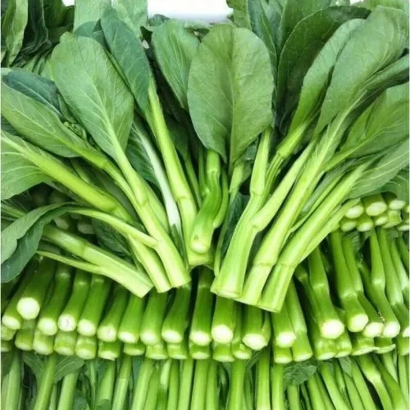 云南蔬新鲜青菜心菜苔广东连州农家特产蔬菜脆甜菜心5斤