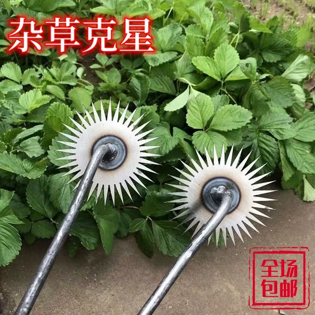 除草神器家用菜园松土锰钢锄头太阳花小耙子连根拔草挖野菜小工具