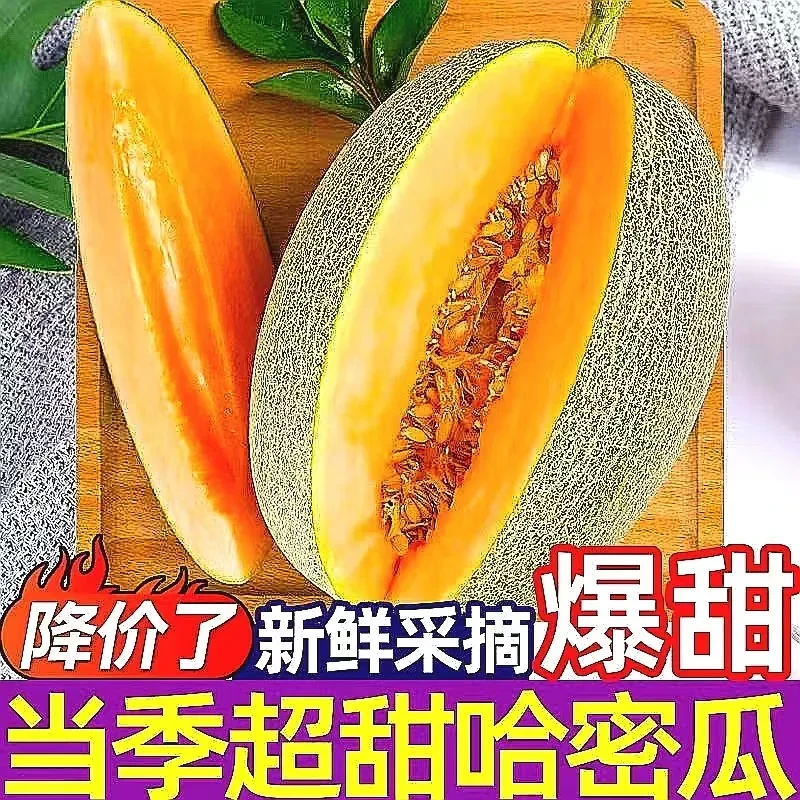 【晓露专属空运】吐鲁番火焰山多汁西州蜜25号哈密瓜新鲜水果新疆