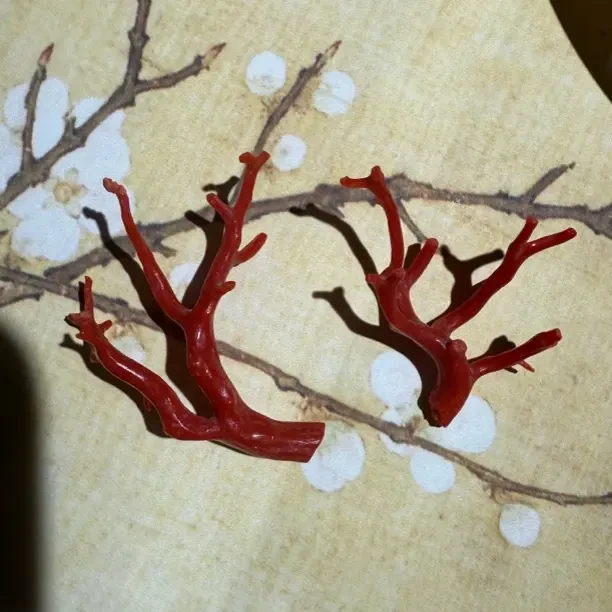 天然沙丁红珊瑚树形摆件