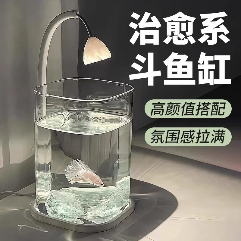 桌面小鱼缸斗鱼专用鱼缸带灯迷你创意网红工位玻璃斗鱼观赏鱼缸