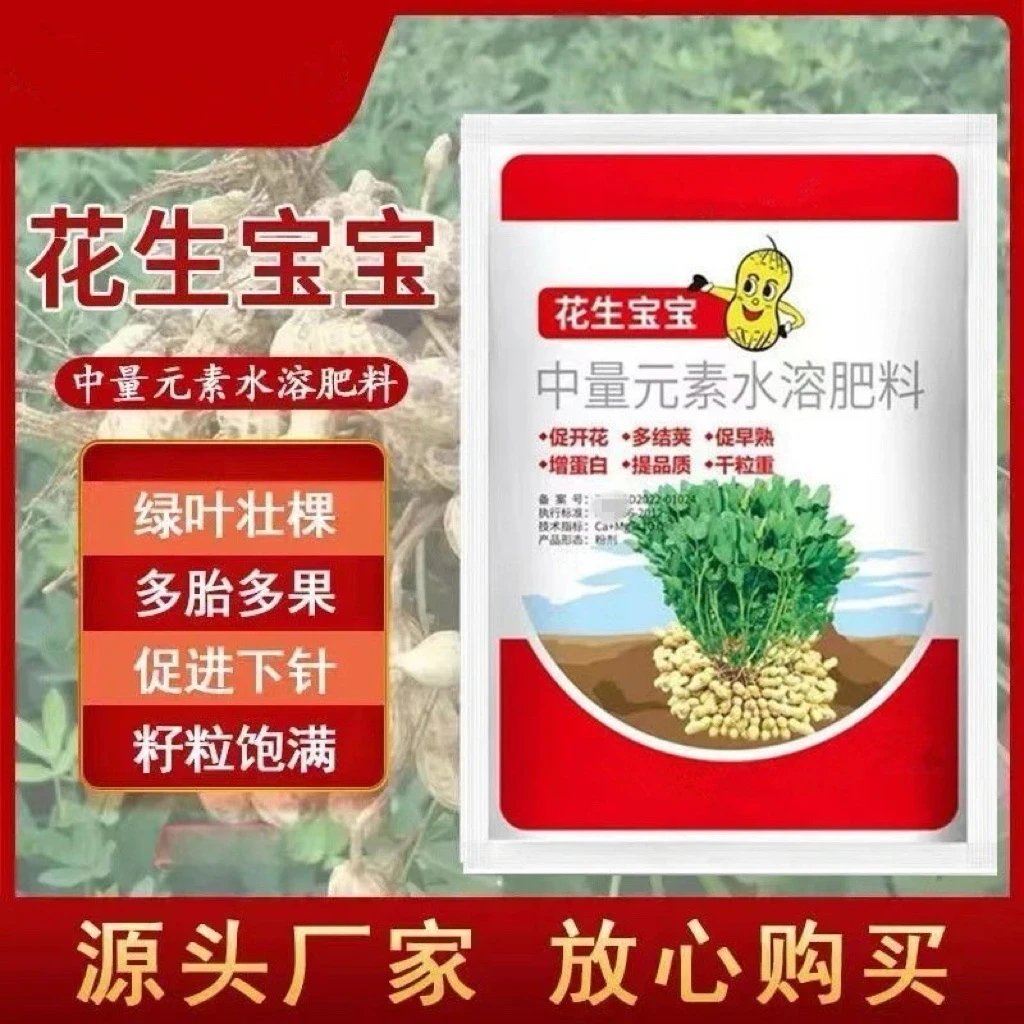 【高产型】花生宝宝粒粒饱满绿叶壮棵颗粒饱满提高产量加强型肥