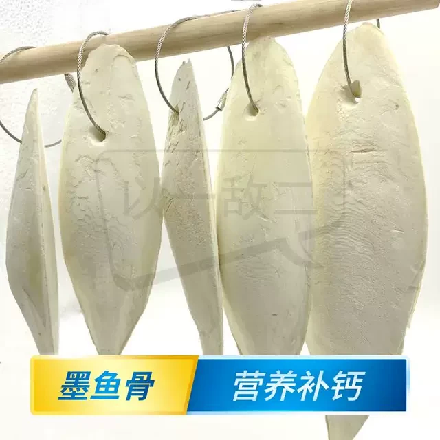 墨鱼骨大块虎玄凤皮具牡丹鹦鹉鸟用补钙木鱼骨磨牙吊串啃咬玩用品